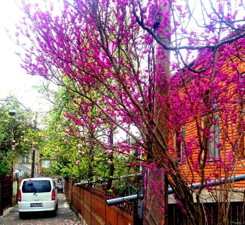 Colibri Home Κουτάισι Εξωτερικό φωτογραφία