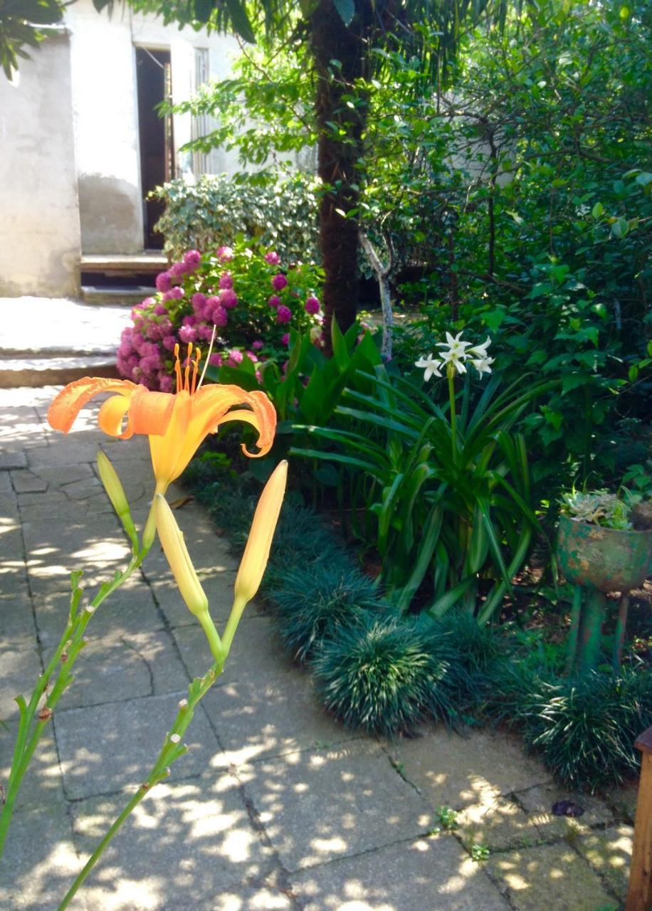 Colibri Home Κουτάισι Εξωτερικό φωτογραφία